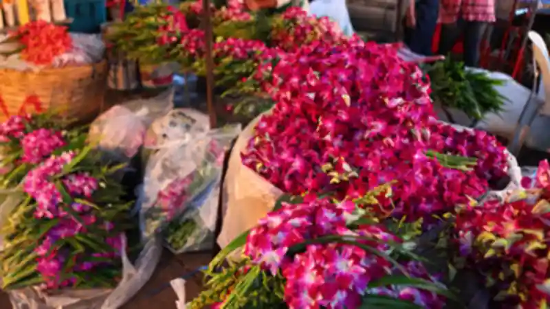 Personal Tour Guide in Bangkok - Flower Market